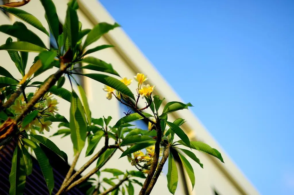 Homestay The Hill Ungasan Apartment Uluwatu